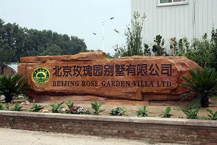 假山專業(yè)報(bào)價(jià)與優(yōu)質(zhì)供應(yīng)商選擇指南